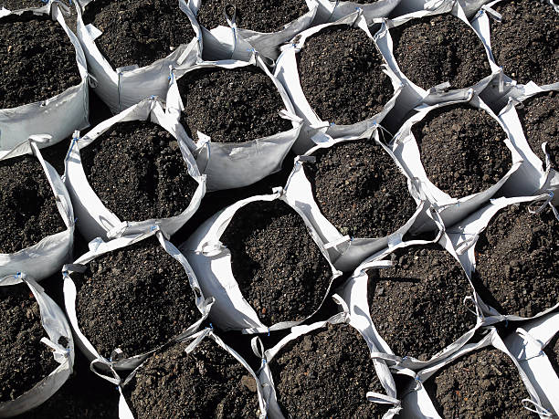 Organic Manure