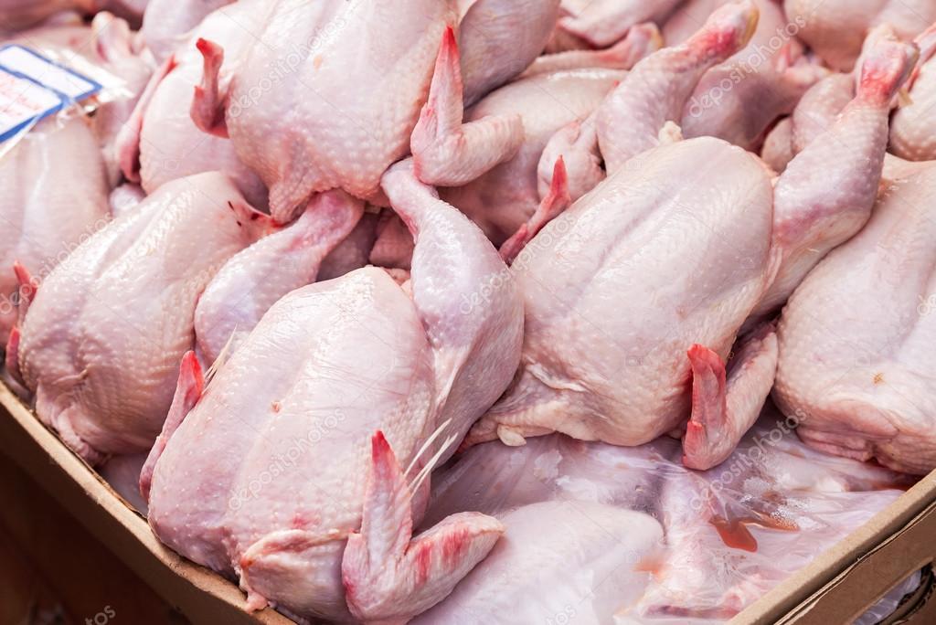 Poultry